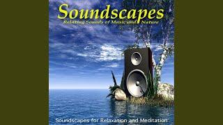 Ambient Soundscapes