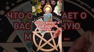 #таро #+393929906674 #будушее #tarot #таролог #судьба #мчд#таромания#чтодумает#мысли #любит #tarot#