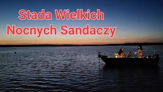 Wyprawa wędkarska jezioro Finjashjön Szwecja cz.1 "Noc" Sandacz Maj 2024