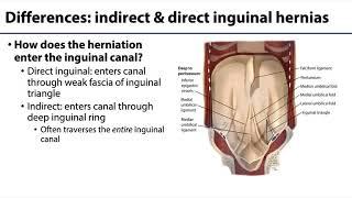 Abdominal Wall, Peritoneum and Intestines LO4 - Inguinal Hernias