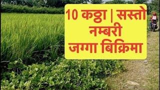 10 Katha | sasto Jagga Bikrima | Cheap land for sale at Nepal @itahariRealEstate