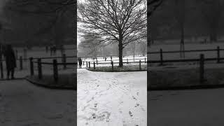 Eel Brook Common, Parsons Green, Fulham London in the snow