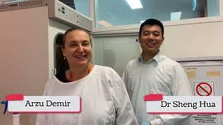 A day in the life of an eye and vision researcher