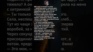 #жизненныеистории #историиизжизни #истории #рассказы #лукаозёрный #поэзия