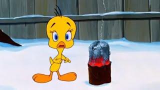 Looney Tunes: Tweetie Pie but it's me as Tweety