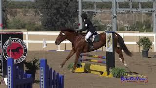 195S Tiffany Schmid on Celtic Star SR Beginner Novice Show Jumping FCHP Oct. 2019