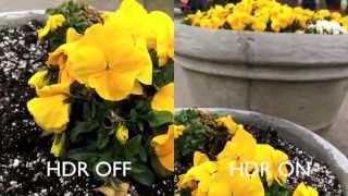Oppo Find 5 Camera Samples (1080P HDR Video and Photos)