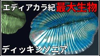 【ゆっくり解説】エディアカラ紀 最大生物ディッキンソニア