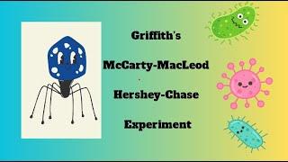 Griffith, McCarty-MacLeod, Hershey-chase Experiment | #CSIR-NET, GATE, ICMR