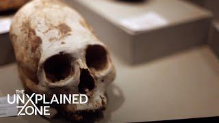 Ancient Aliens: Paracas Skull DNA Test