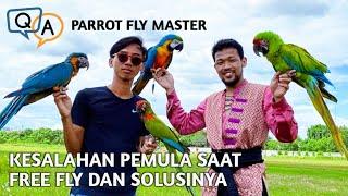 Q n A MUBAROK JOHN PARROT FLY MASTER (KESALAHAN PADA FREE FLY DAN SOLUSINYA)