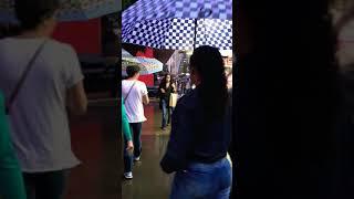 Avenida Paulista - 5 minutes walking in the rain (ambient sound)