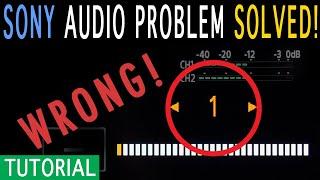 Sony A7sIII Audio Distortion Problem SOLVED!! (A7iii as well)