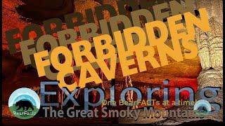 Forbidden Caves: The Best View UNDER the Smoky Mountains!