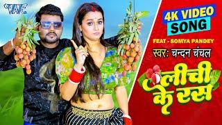 Chandan Chanchal New Song ~ तोरा लीची में के रस कवन खींची ए गोरी ~ Tora Lichi Me Ke Ras Kawan Khichi