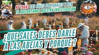 Que sal sirve para las abejas?… Cual son mas recomendable y tienen distinta funciones?