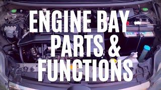 Engine Bay Parts & Basic Functions - Toyota Wigo, Ayla, Agya. Perodua Axia