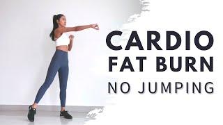 살이 이렇게나 빠진다구?! 층간소음 지방 태우기 No Jumping Cardio Workout