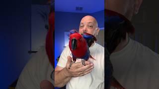 Veterinarians LOVE this parrot