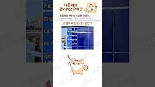 어질어질 찐광기의 사람들;;;#웃긴 #웃긴  #웃긴짤 #웃짤 #광기 #고양이 #부모님 #두부김치  #humor