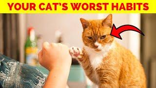 Fix These 5 Cat Behaviors Before They Drive You Crazy!