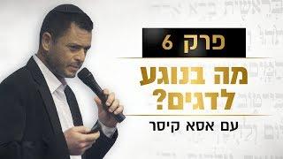 פרק 6: מה בנוגע לדגים?