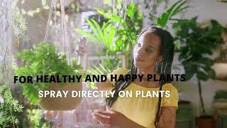 Grow Your Own Neem Oil Pest Repellant Spray