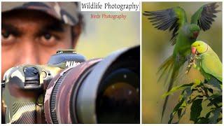 এক সঙ্গে এতো টিয়া পাখি , ভাবিনি  | Wildlife photography Vlog 43 | Photography behind scene | #tiya