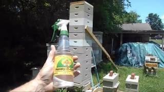 Honey Removal May 22 from my Power Hive