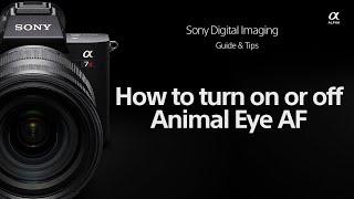 How to turn On / Off Animal Eye AF on your Sony Alpha Camera