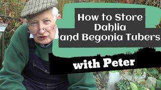 How to Store Dahlia and Begonia Tubers | Garden Ideas | Peter Seabrook