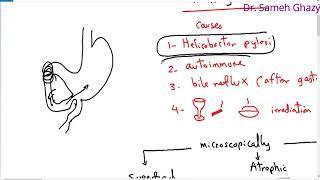 Systemic pathology 22 : GIT 3  ( gastritis ) DR.SAMEH GHAZY