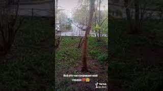 Артём Амелин