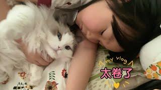 【布偶猫】家里的猫咪为了争宠真的太卷了，我都替它们压力大