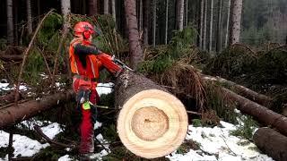 Husqvarna 572 XP HARD WORK!!!HARD CUTTING!!!