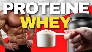 Whey Protein: tutto quello che devi sapere per aumentare la massa muscolare velocemente