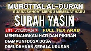 MUROTTAL AL-QURAN MERDU SURAH YASIN  PENYEJUK HATI DAN PIKIRAN LIVE NONSTOP