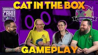 Cat in The Box + Planszówki Online - Rozgrywka | GAMEPLAY