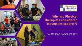 Why are Physical Therapists Considered "Movement Experts"?