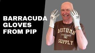 The Barracuda from PIP