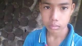 Subhash Roy