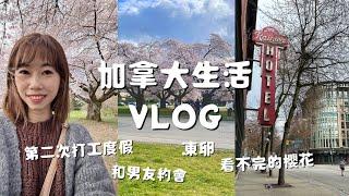 加拿大生活Vlog #01｜第二次打工度假、給男友驚喜、溫哥華櫻花季