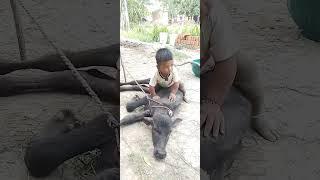Arsh #patel #cute #baby #please #subscribe