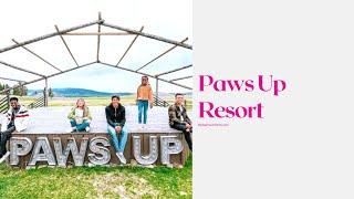 Paws Up Resort