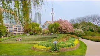 4K CANADA Travel - TORONTO Music Garden Blossoms Relaxing City Garden Walk Piano Music