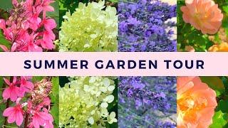 Summer Garden Tour and Dead Pinky Winky Hydrangea Stems