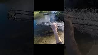 HapugaShorts Ловим на хапугу!