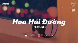  Hoa Hải Đường  Đom Đóm | Playlist Nhạc Lofi Chill Nhẹ Nhàng Của KProx #80