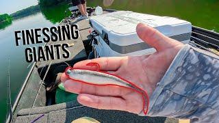 WE WON!! Finessing Untouched Summer Bass || Jon Boat Tournament Fishing