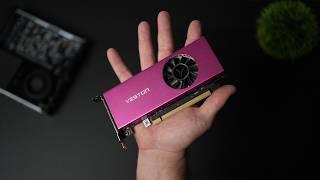 One Of The BEST Low Profile Single Slot Graphics Cards You Can Buy!